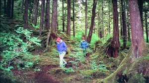 071599 cd alaskaimg0001.jpg